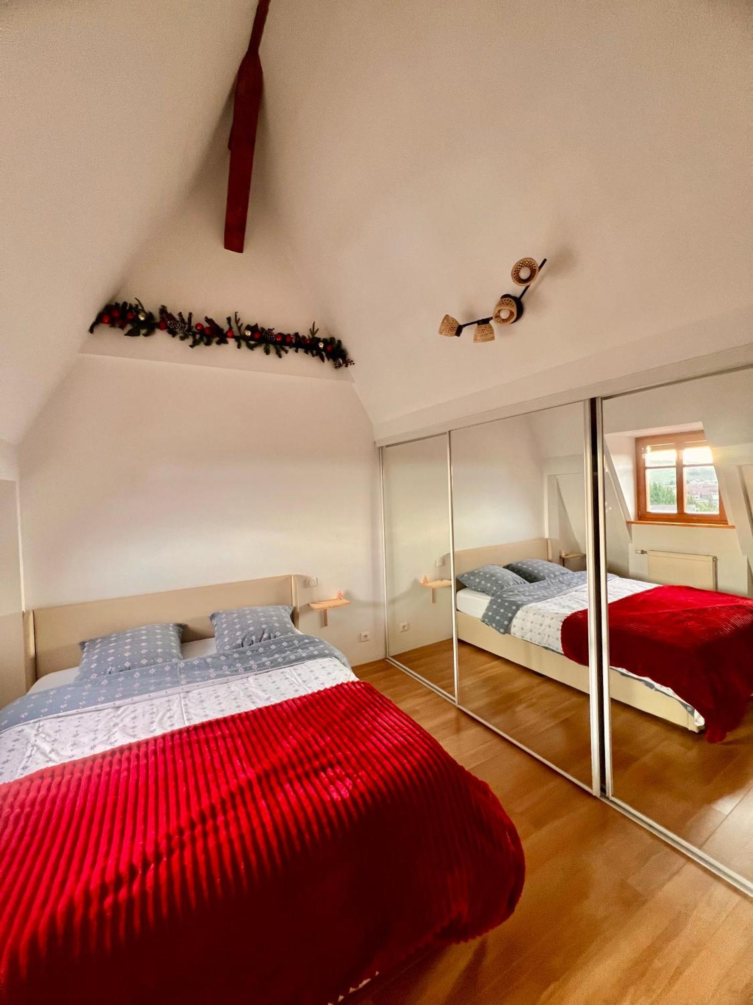 Duplex Au Coeur De Turckheim, 10 Min De Colmar Et Place De Parking Bagian luar foto
